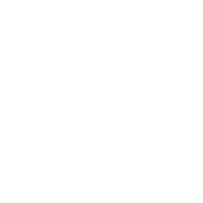 365-day guarantee badge